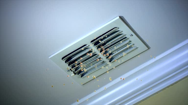 Best HVAC Duct Inspection Services  in Conway, PA
